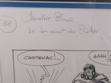 Photo 3/4 du lot