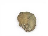 an image of a piece of rock on a white surface