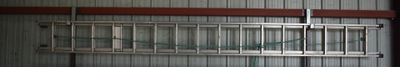 un oiseau dans une cage suspendue au plafond