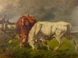 tableau représentant deux vaches paissant dans un champ, avec une clôture en arrière-plan