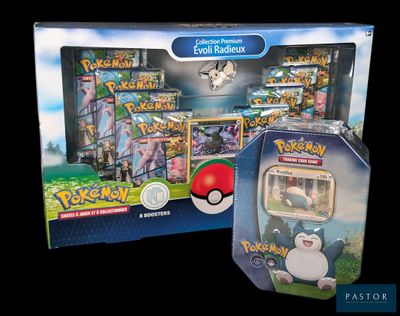 deux boîtes de cartes Pokémon contenant chacune une figurine Pokémon