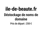 Photo 1/1 du lot