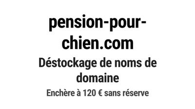 Nom de domaine pension-pour-chien.