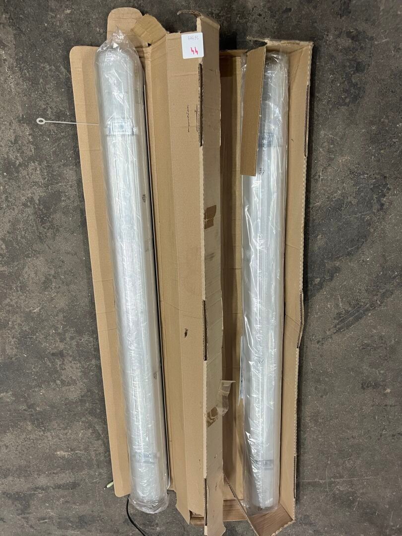 Voitures Particulières