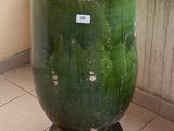 une plante verte dans un pot vert posé par terre