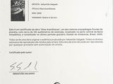 certificate of authenticity of autograph of a man in a car