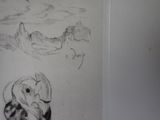 a drawing of an owl and a bird on the wall