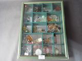 a glass box with a lot of glass items inside of it