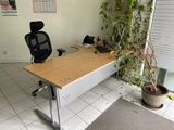 un bureau avec une chaise et une plante en pot posée devant