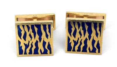 a pair of blue and gold cufflinks with zebra print