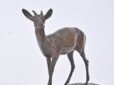 statue of a deer standing on a wooden base on a white surface