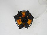 a black rose in a bowl on a white table