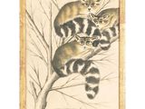 un tableau représentant trois chats assis sur une branche d'arbre