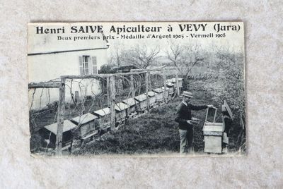 une photo d'une carte postale sur laquelle on voit un homme s'occupant d'abeilles