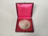 a silver medal in a red box on a white surface