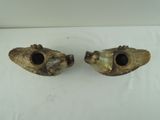 two pieces of horn are sitting on a white surface