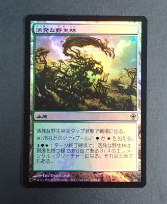 a close up of a card with a picture of a dragon on it