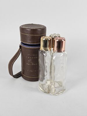 pair of glass salt and pepper shakers with leather case