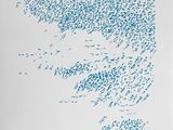 beaucoup d'oiseaux qui volent dans le ciel