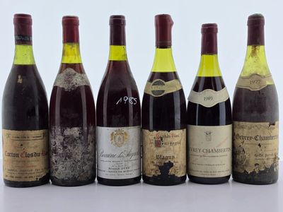 plusieurs bouteilles de vin sont alignées dans une rangée