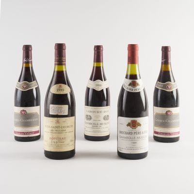 plusieurs bouteilles de vin sont alignées sur une surface blanche