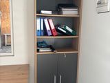 a desk with a bookcase and a mirror in the corner