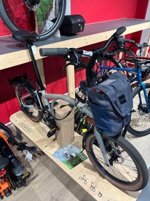les nombreux vélos exposés dans un magasin