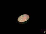 an oplite in the dark with a black background