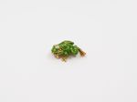 VAN CLEEF & ARPELS
Grenouille
Broche clip en or jaune 750°/°° reh...