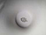 a close up of a white bowl with a fish on it