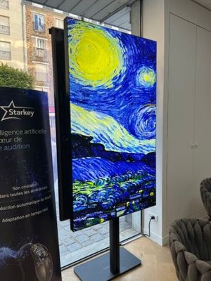 a large painting of a starry night on a large screen