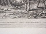 a drawing of a man riding a horse in a field