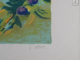 a picture of a painting of a plant with fruit on it