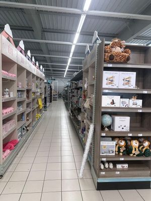de nombreuses étagères du magasin sur lesquelles sont disposés des animaux en peluche