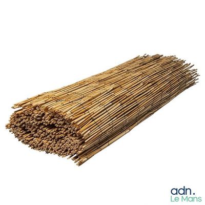 a close up of a bundle of straw sticks on a white background
