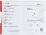 un gros plan d'un certificat posé sur une surface blanche, avec une bordure rouge