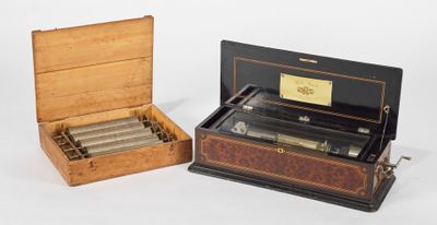 deux boîtes en bois contenant des cigares, posées sur une surface blanche
