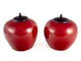deux pommes rouges posées l'une à côté de l'autre
