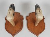 paire de têtes de chien sculptées à la main, fixées sur des plaques en bois