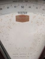 Balance TESTUT Type 43 (photo 2)