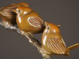 two birds that are sitting on a tree branch