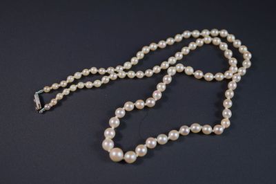 gros plan d'un collier de perles blanches sur une surface noire