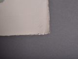 a piece of paper that has been torn off