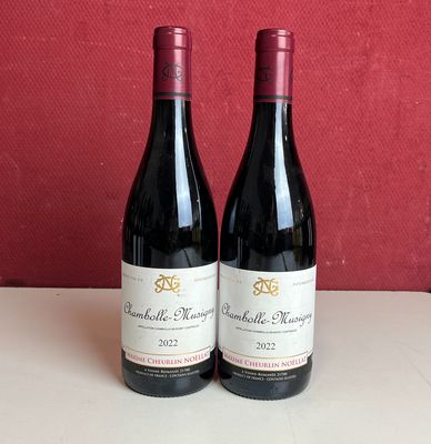 deux bouteilles de vin rouge sont posées sur une table à côté de deux autres bouteilles de vin rouge