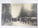 a black and white photo of a group of people with horses