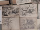 de nombreux dessins posés sur une table où se trouve un vase de fleurs