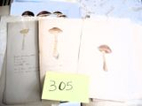 une pile de feuilles sur lesquelles sont dessinés des champignons, posée sur une table