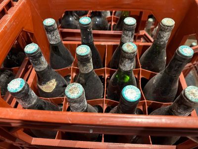 de nombreuses bouteilles de vin rangées dans un casier à vin