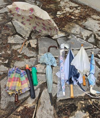 109 / À récupérer dans une maison à Meyzieu : -1-A-Gch…