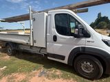 un camion blanc garé dans l'herbe